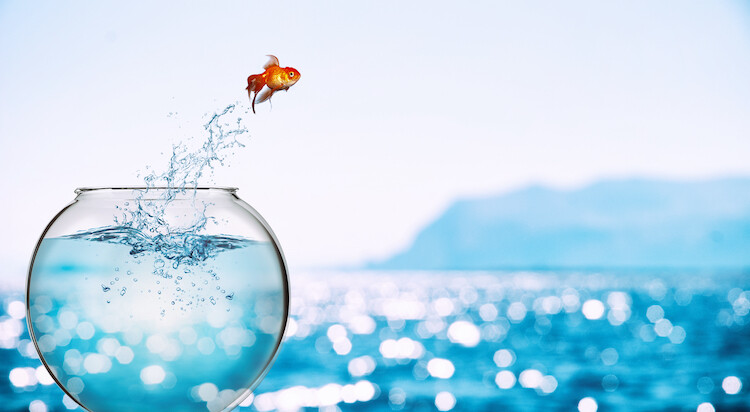 Focus - 13 ways tp be a productive and focused leader